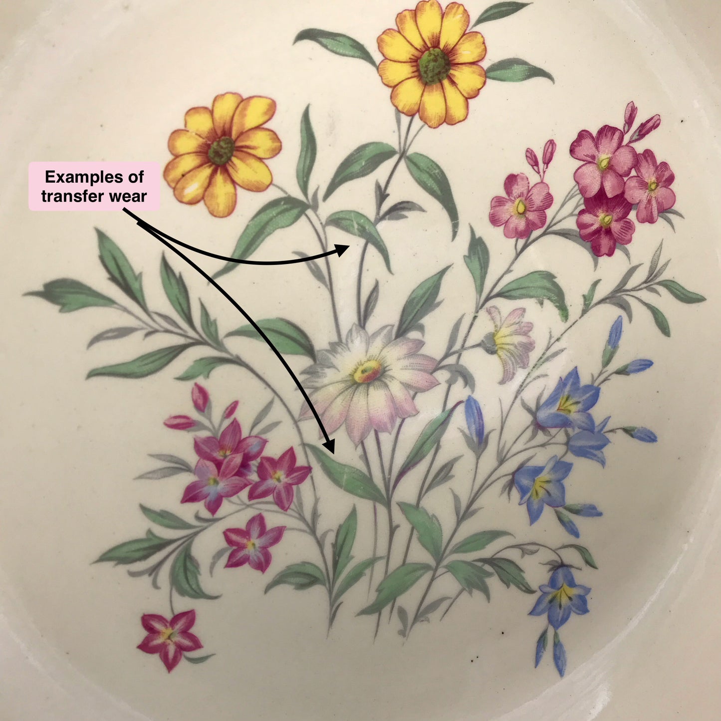 Clarice Cliff Dinner Plates Pink Susan Design for Royal Staffordshire, Set of 7, Pastel Country Wild Flowers