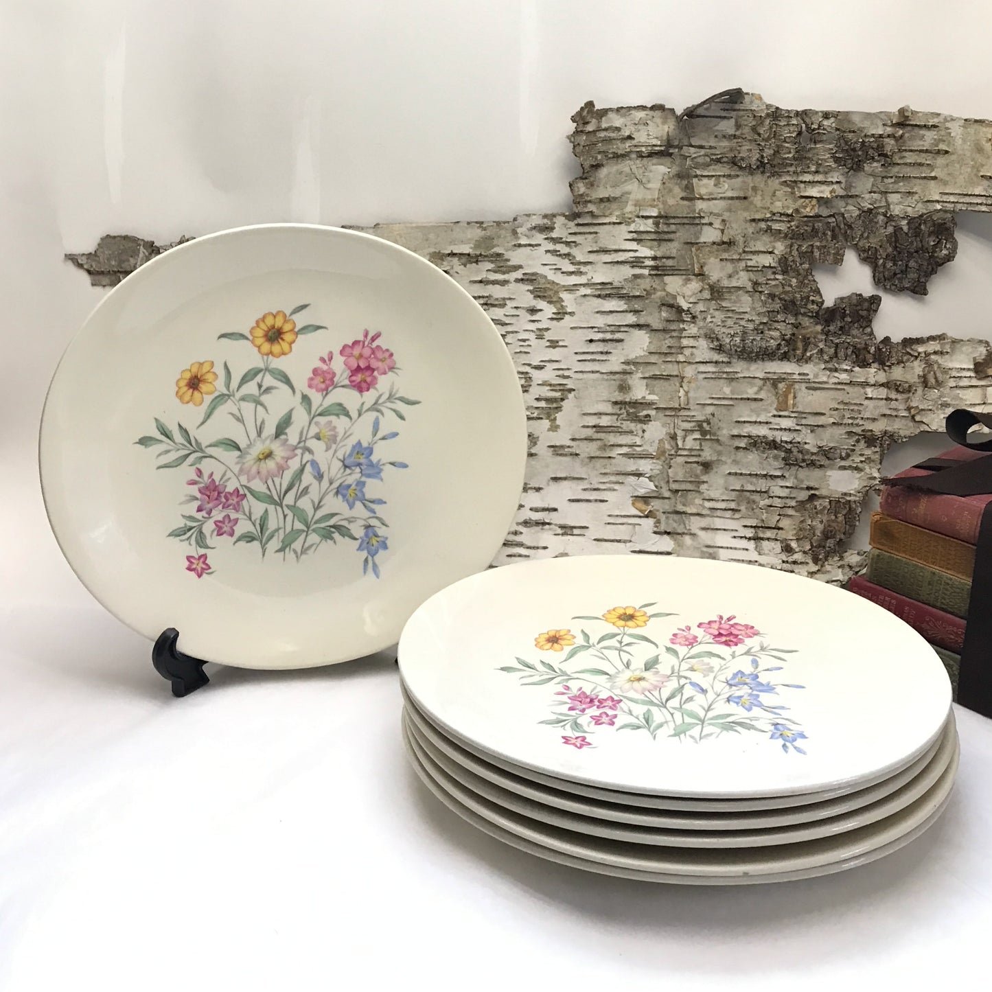 Clarice Cliff Dinner Plates Pink Susan Design for Royal Staffordshire, Set of 7, Pastel Country Wild Flowers