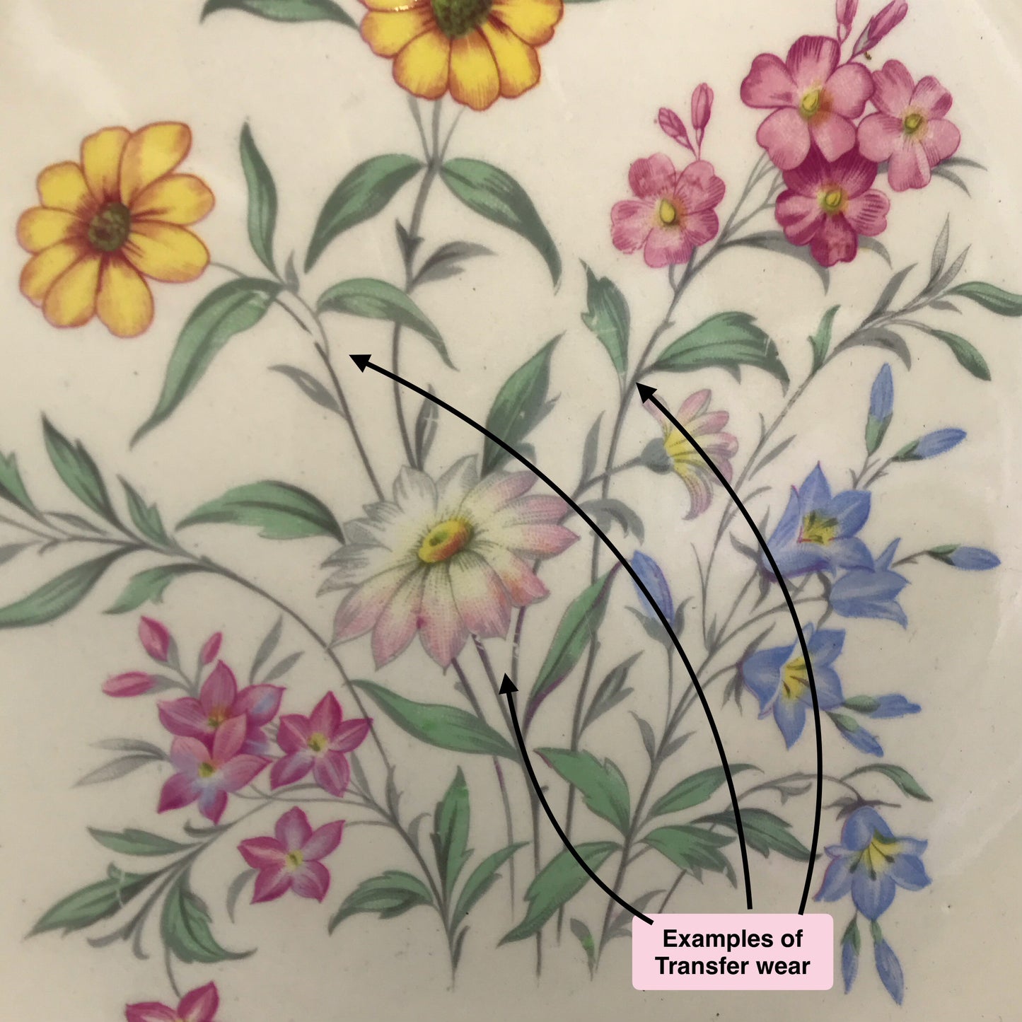 Clarice Cliff Dinner Plates Pink Susan Design for Royal Staffordshire, Set of 7, Pastel Country Wild Flowers