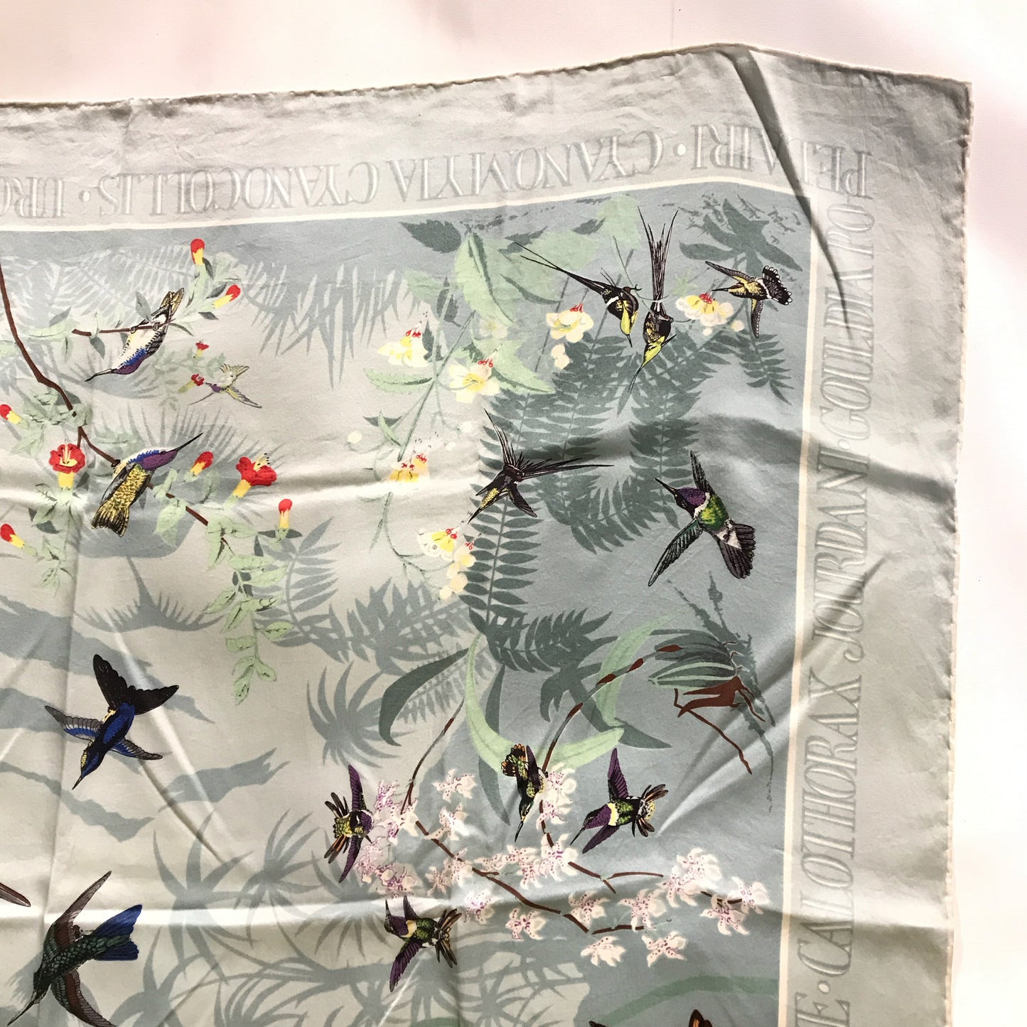 Past Times John Gould Hummingbird Scarf