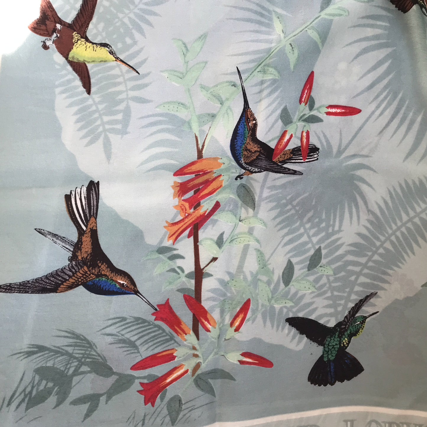 Past Times John Gould Hummingbird Scarf