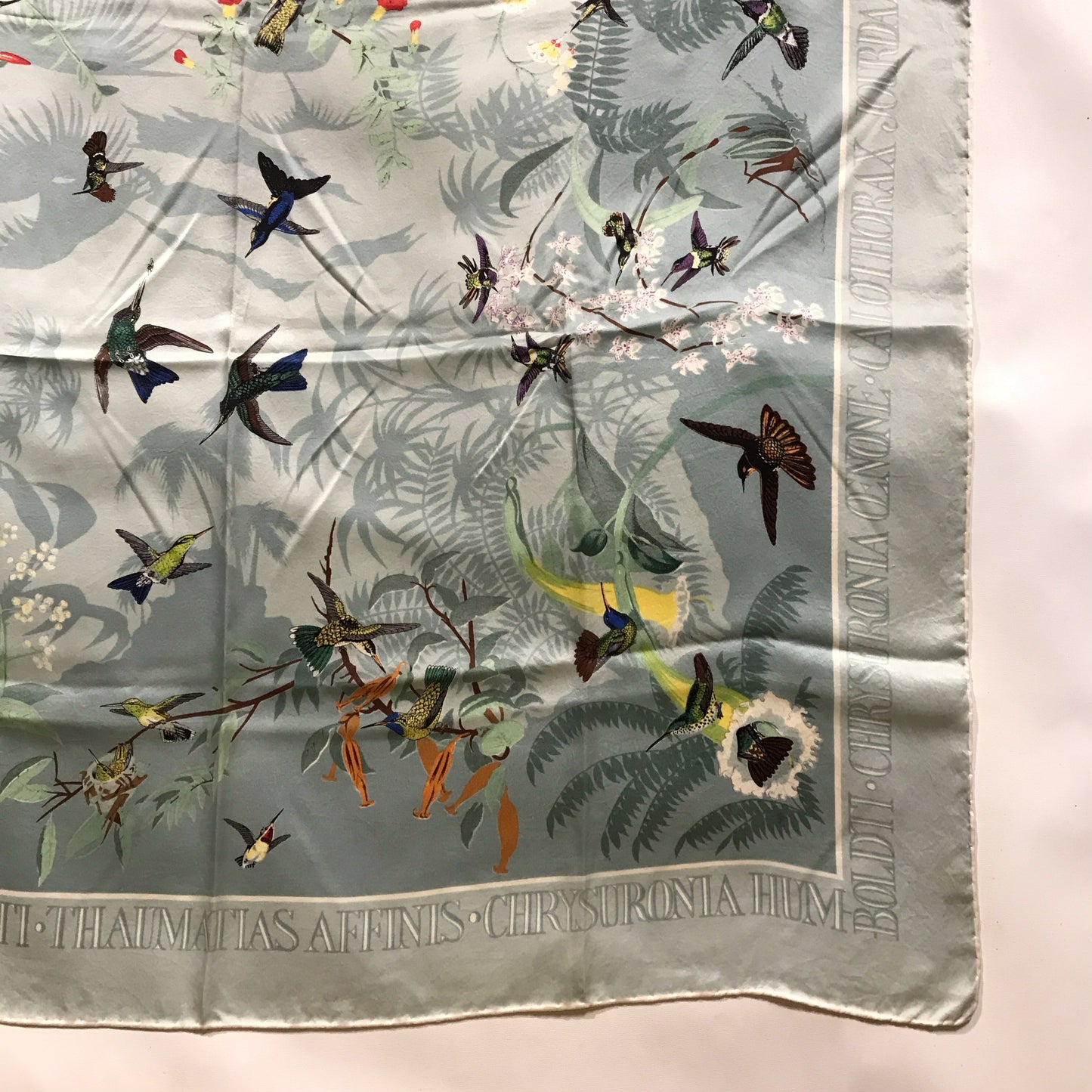 Past Times John Gould Hummingbird Scarf