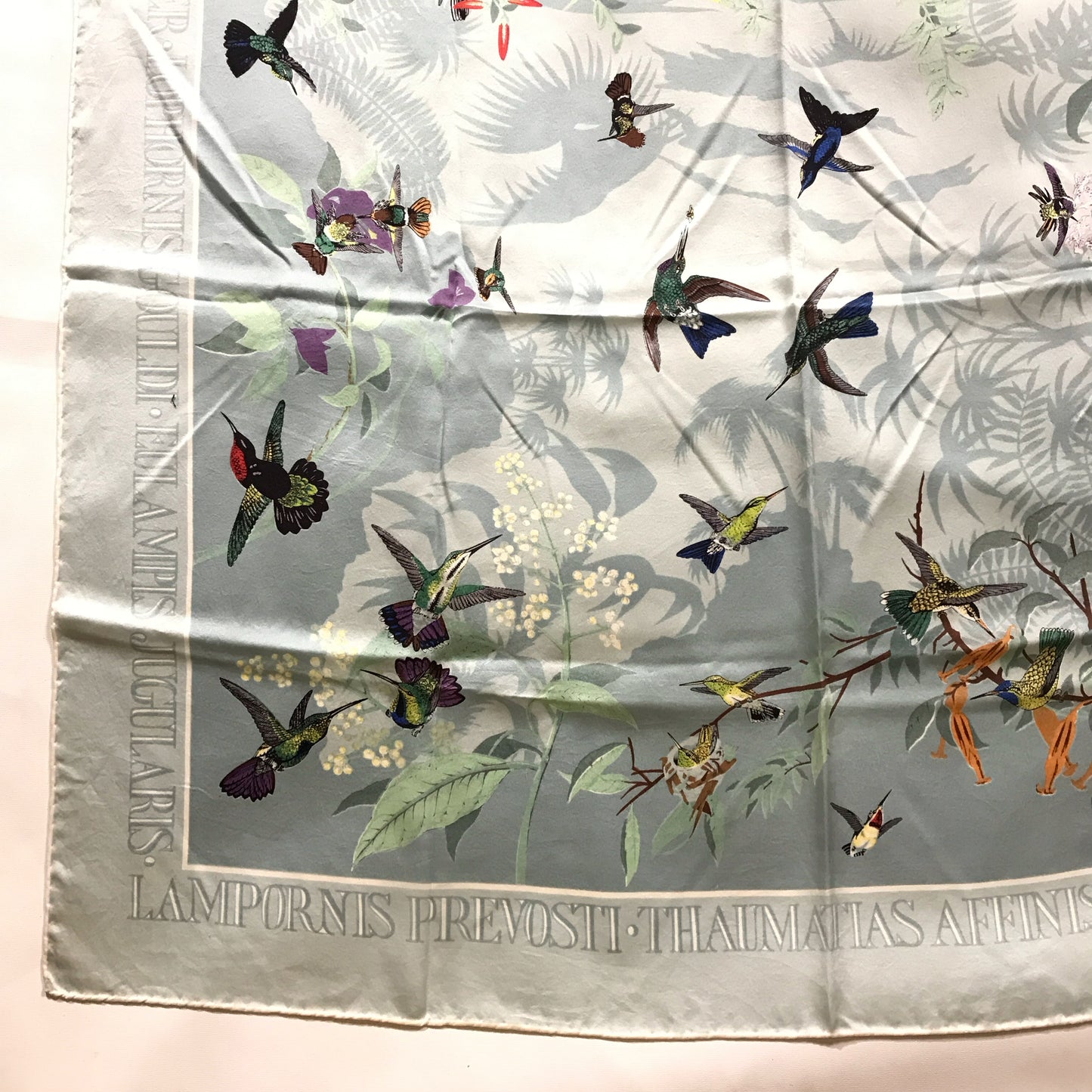 Past Times John Gould Hummingbird Scarf