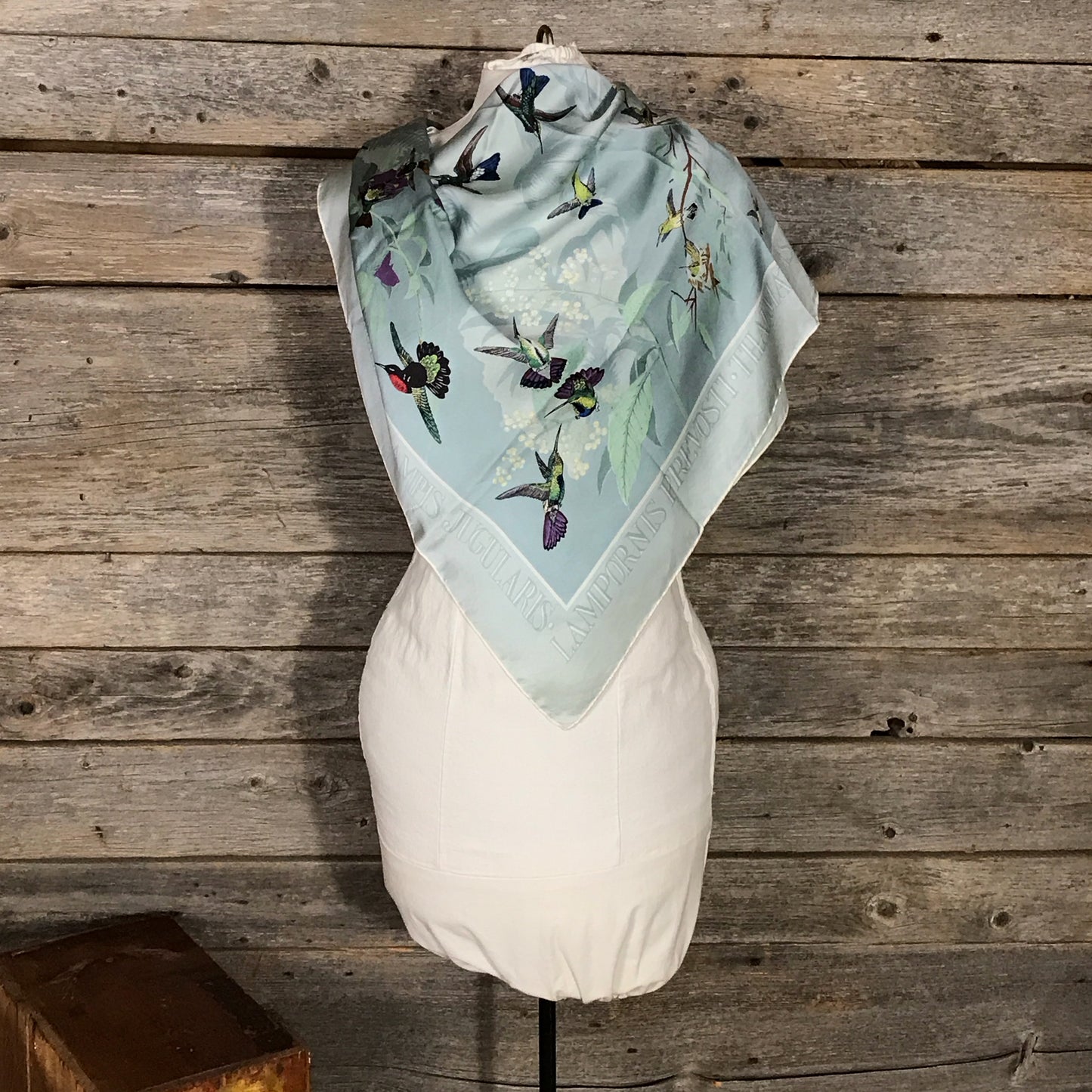 Past Times John Gould Hummingbird Scarf