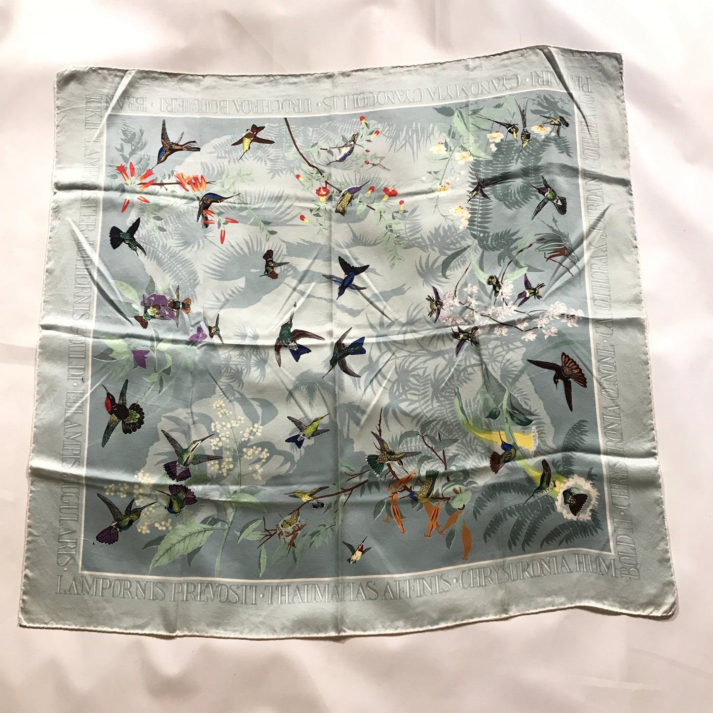 Past Times John Gould Hummingbird Scarf