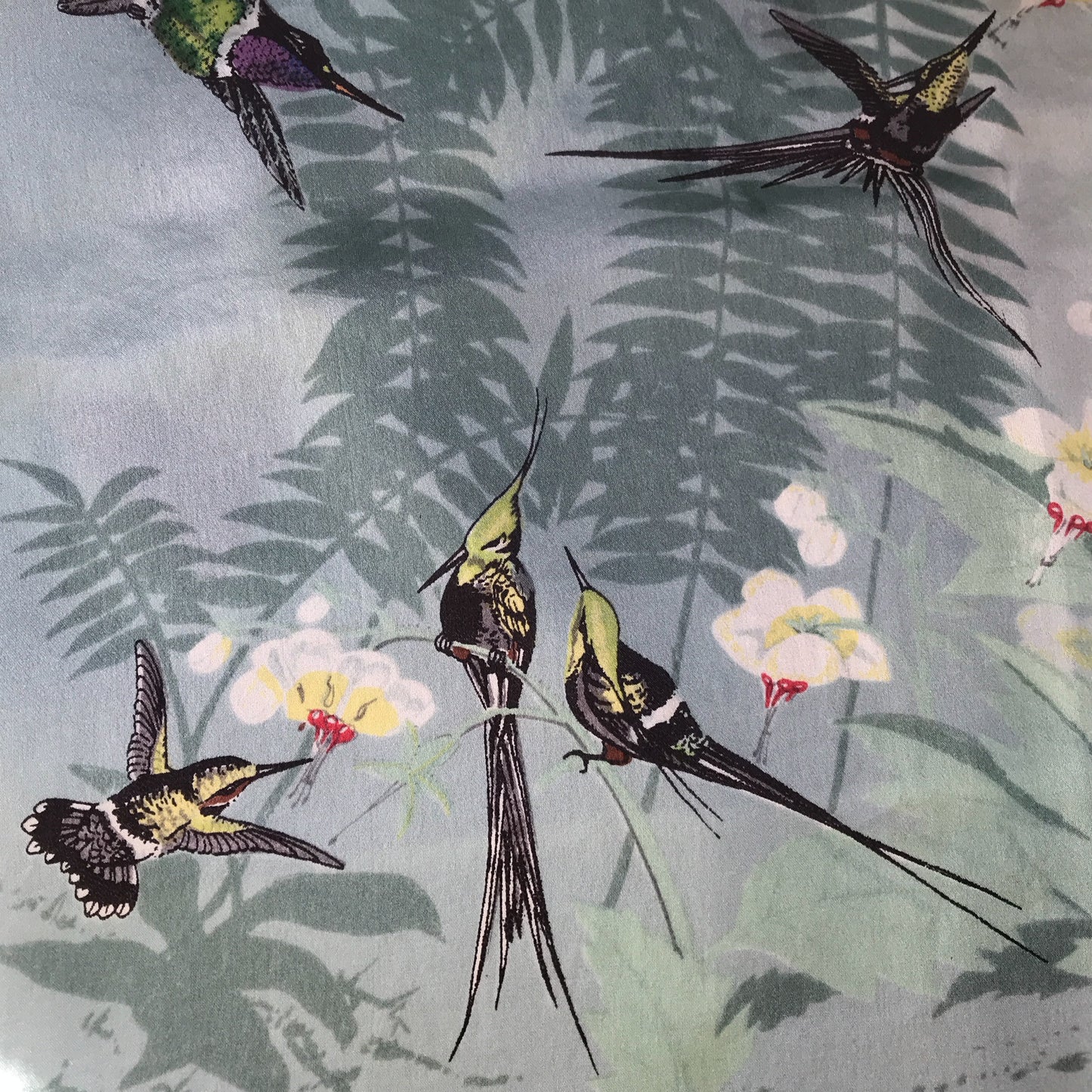 Past Times John Gould Hummingbird Scarf