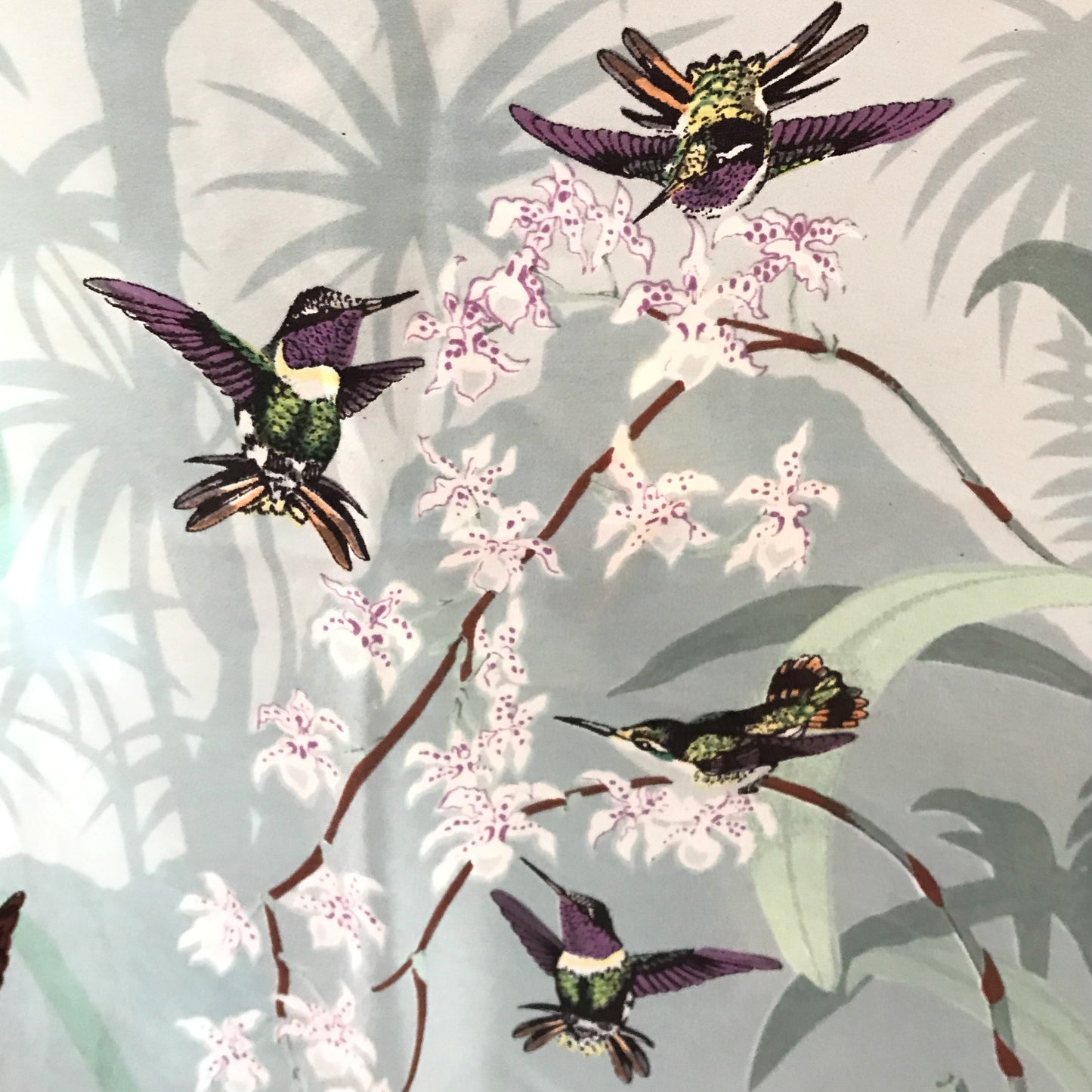 Past Times John Gould Hummingbird Scarf