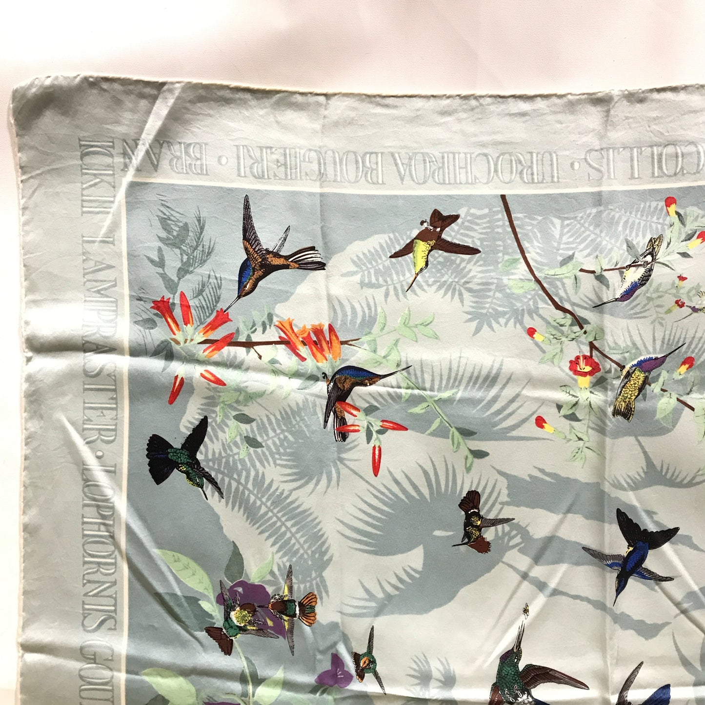 Past Times John Gould Hummingbird Scarf