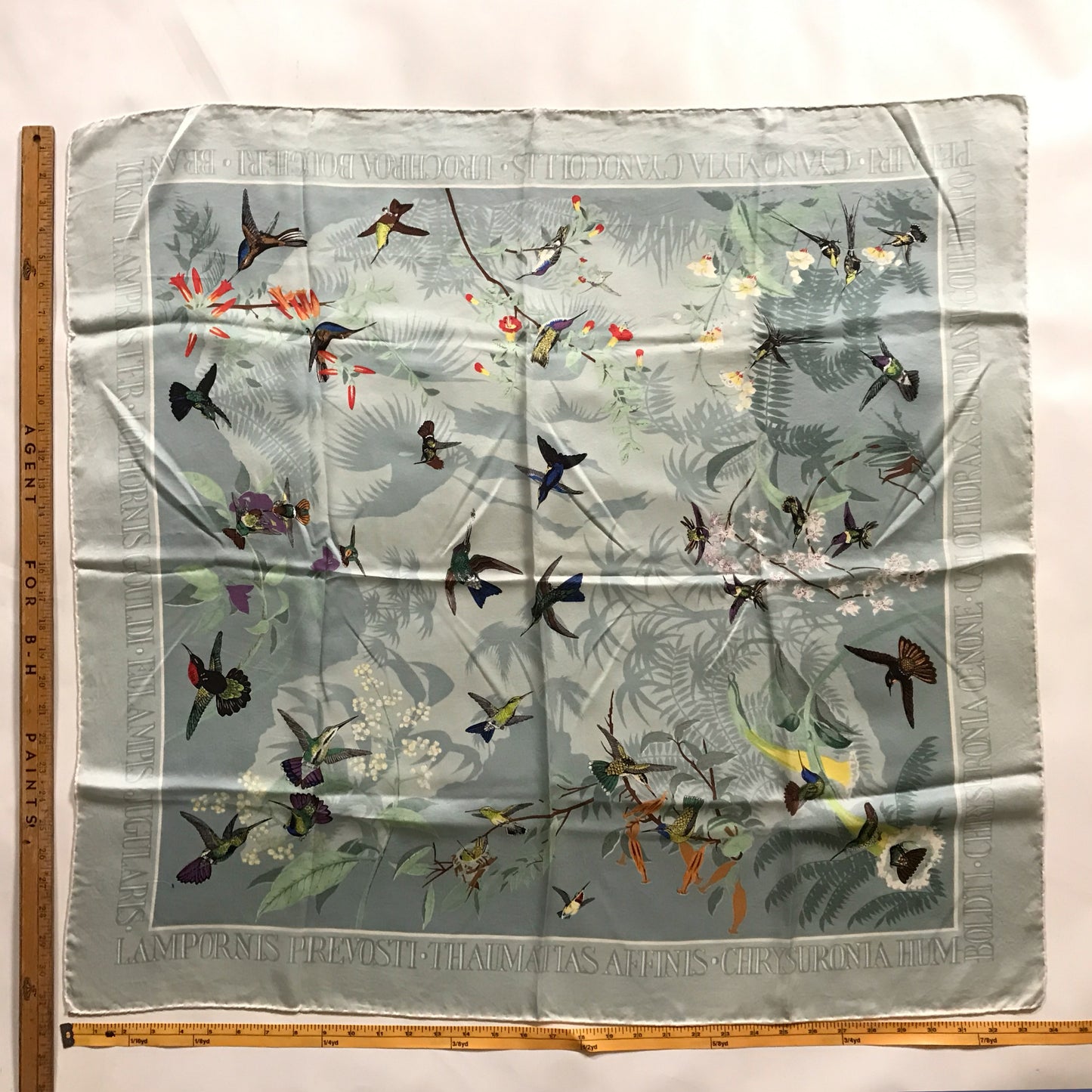 Past Times John Gould Hummingbird Scarf