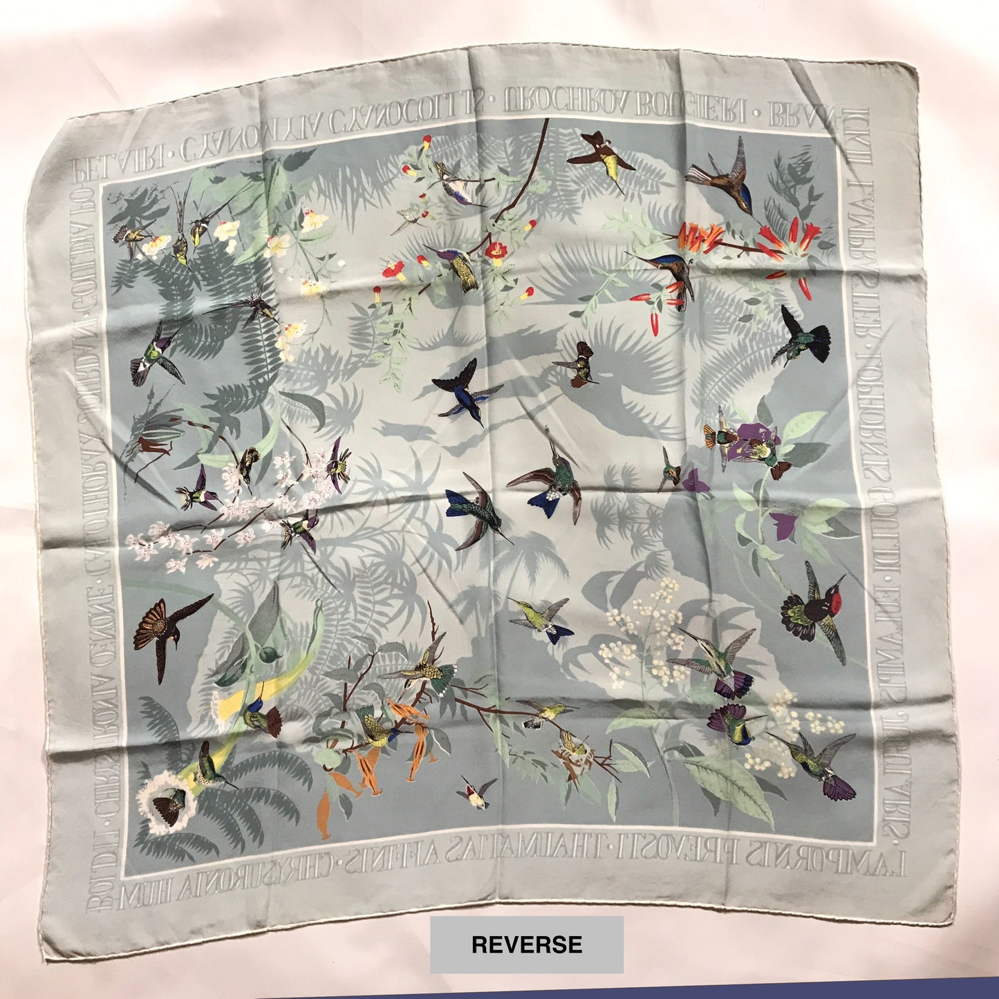 Past Times John Gould Hummingbird Scarf